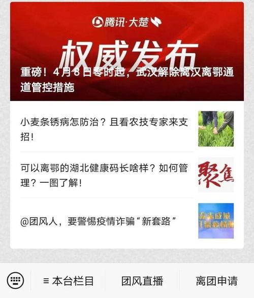 蕲春大小事爆料新闻,聚焦蕲春大小事，揭秘爆料背后的真相